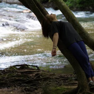 Forest Anti Stress Relief